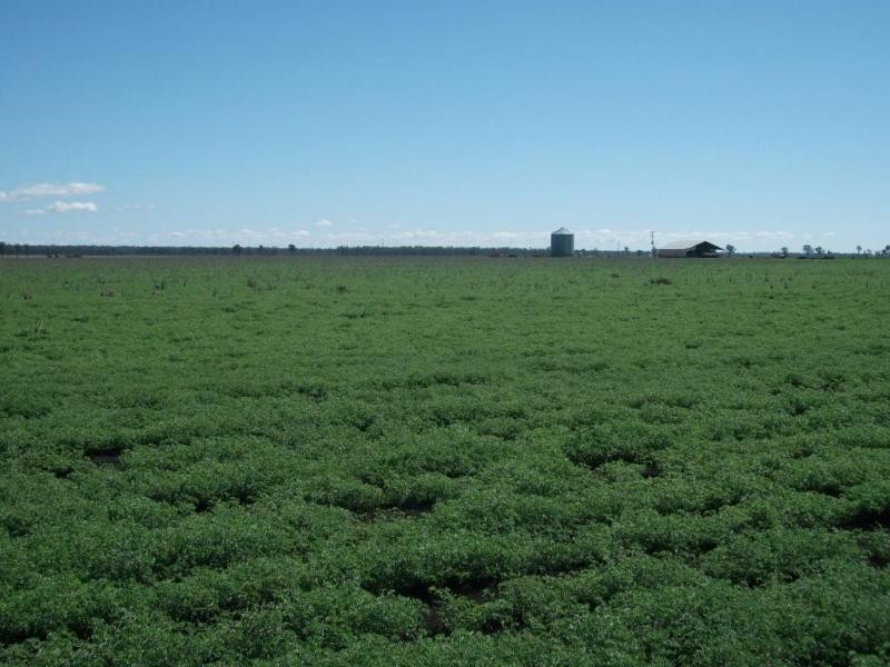 3770 Cecil Plains – Dalby Rd, Cecil Plains QLD 4407