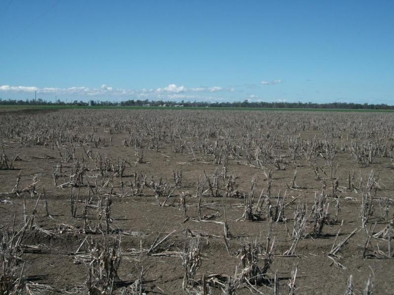 3770 Cecil Plains – Dalby Rd, Cecil Plains QLD 4407