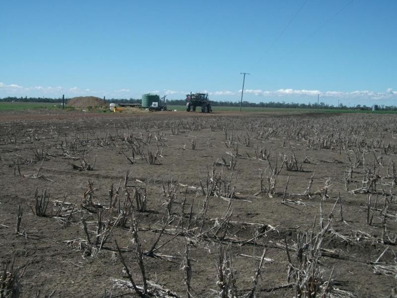 3770 Cecil Plains – Dalby Rd, Cecil Plains QLD 4407