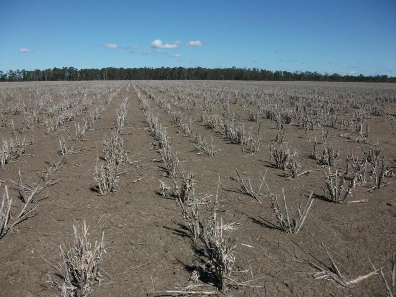 3770 Cecil Plains – Dalby Rd, Cecil Plains QLD 4407