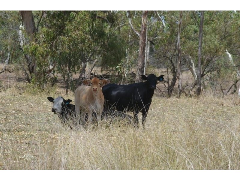 3770 Cecil Plains – Dalby Rd, Cecil Plains QLD 4407