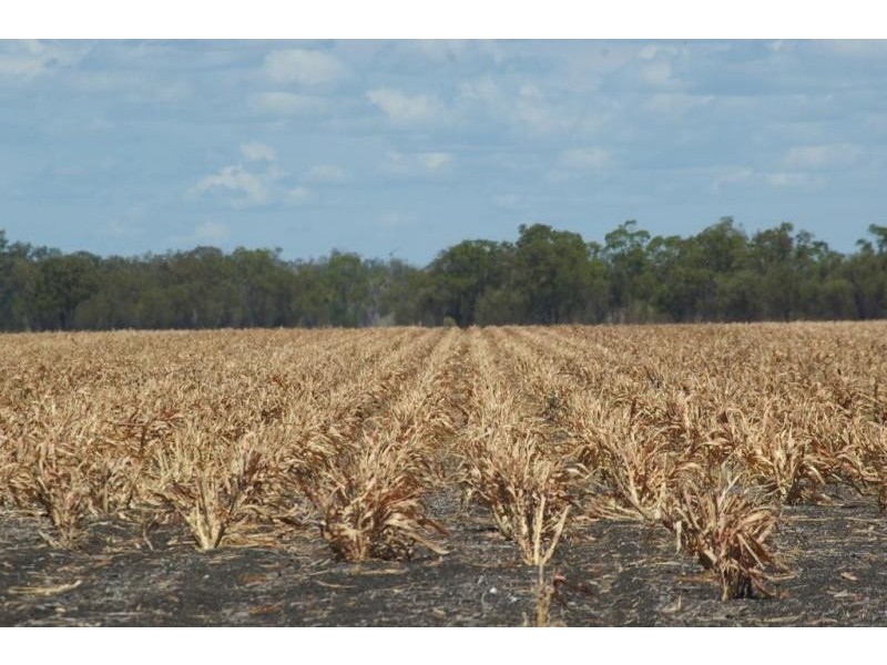 3770 Cecil Plains – Dalby Rd, Cecil Plains QLD 4407