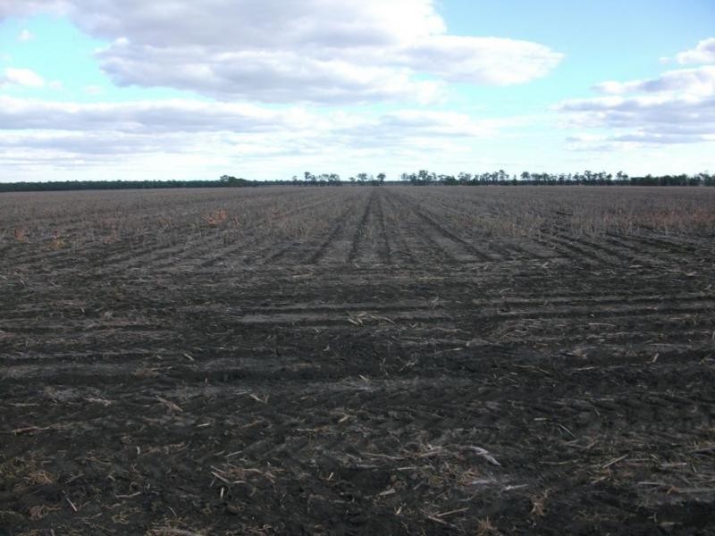 3770 Cecil Plains – Dalby Rd, Cecil Plains QLD 4407