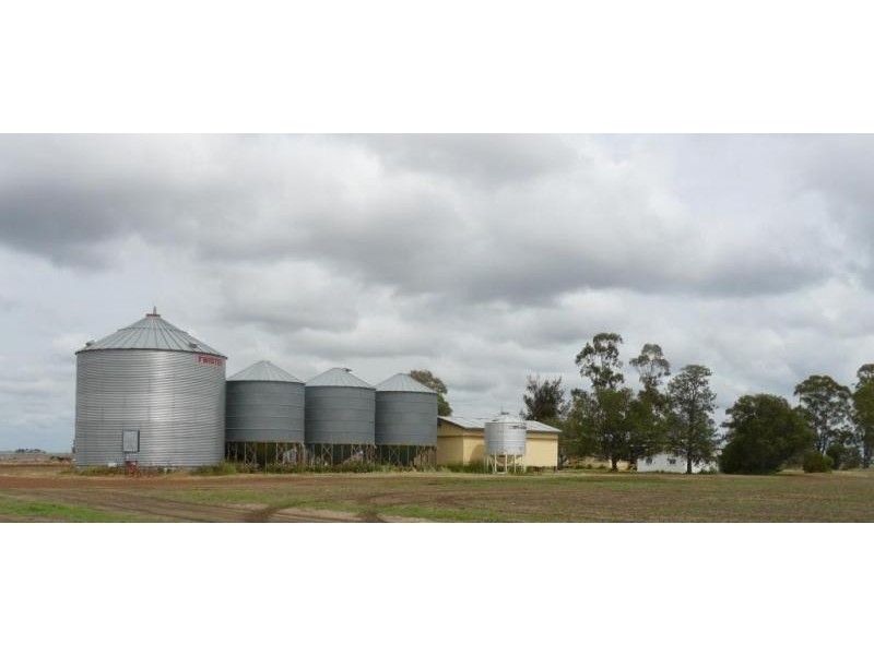 Cosgrove Rd, Dalby QLD 4405