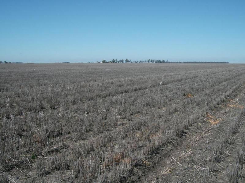 Cosgrove Rd, Dalby QLD 4405