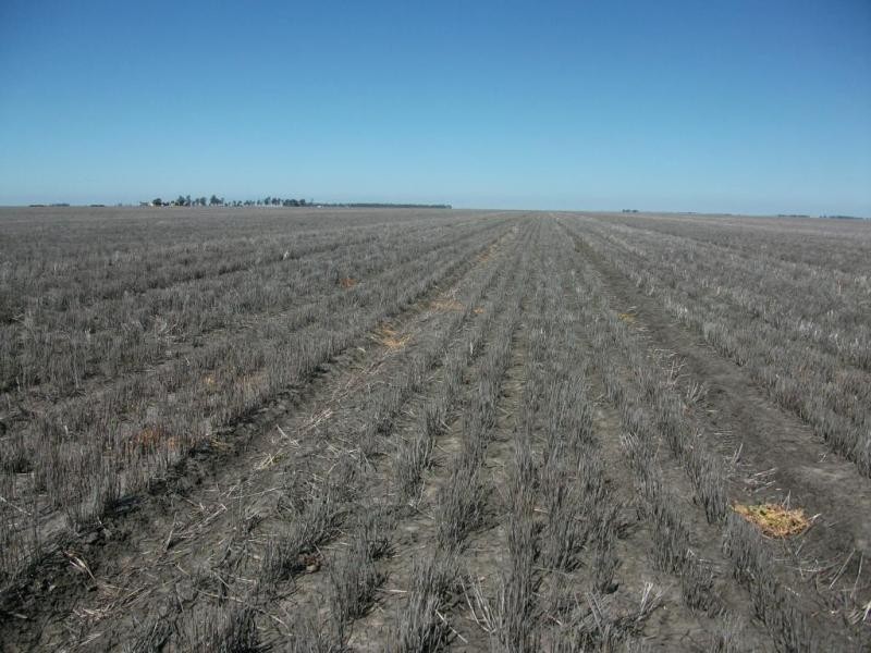 Cosgrove Rd, Dalby QLD 4405