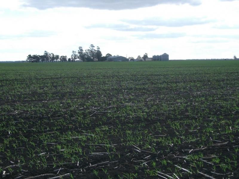 Cosgrove Rd, Dalby QLD 4405