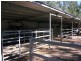1122 Willaroo Rd, Goondiwindi QLD 4390