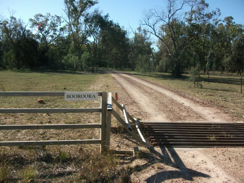 1122 Willaroo Rd, Goondiwindi QLD 4390