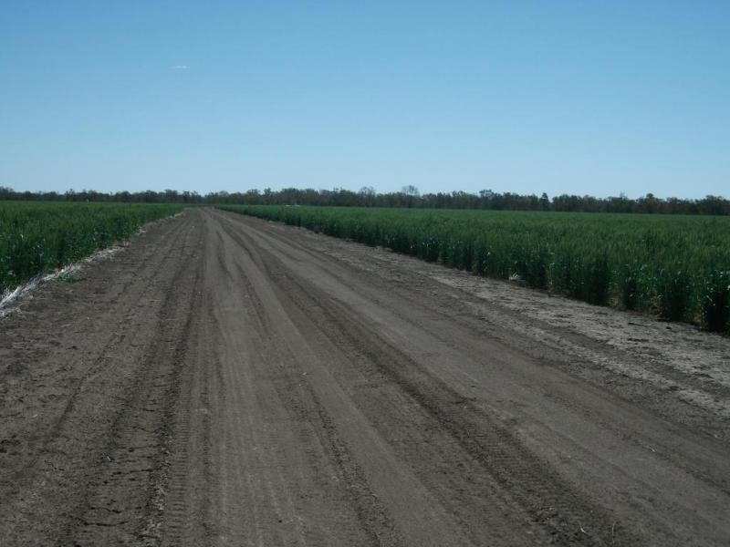 1143 River Rd, Surat QLD 4417