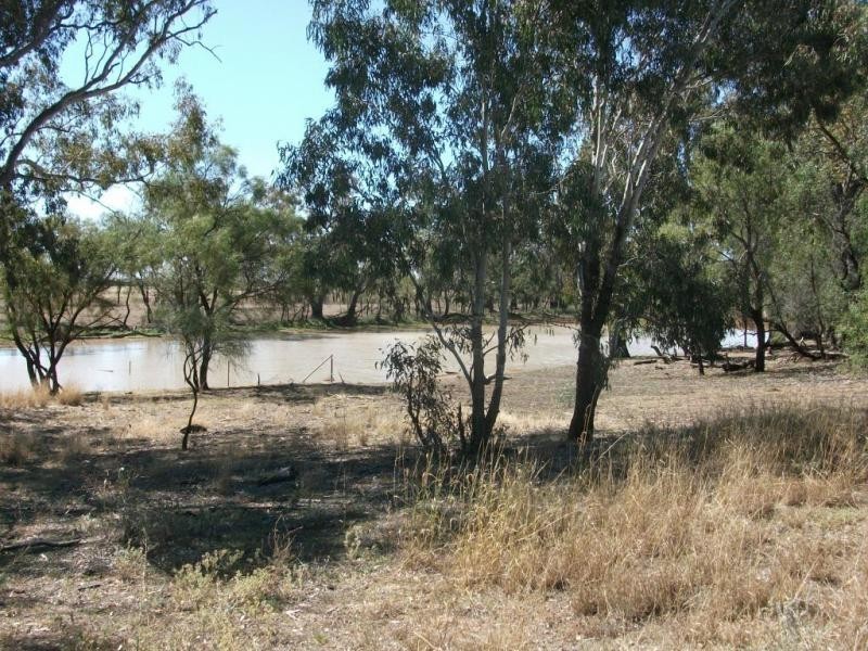 1143 River Rd, Surat QLD 4417