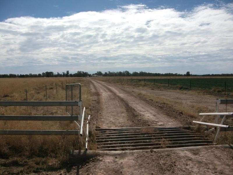 1143 River Rd, Surat QLD 4417