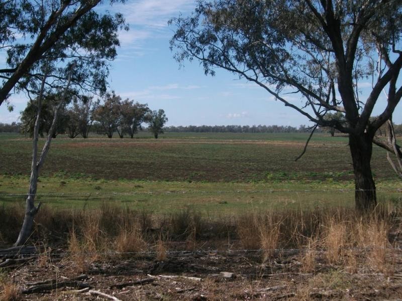 1143 River Rd, Surat QLD 4417