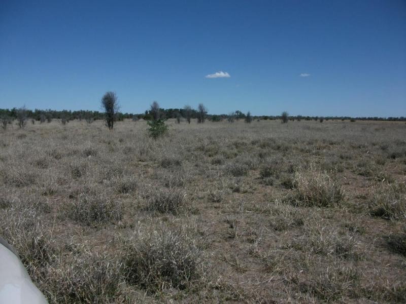 1143 River Rd, Surat QLD 4417