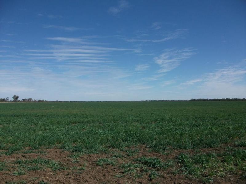 1143 River Rd, Surat QLD 4417