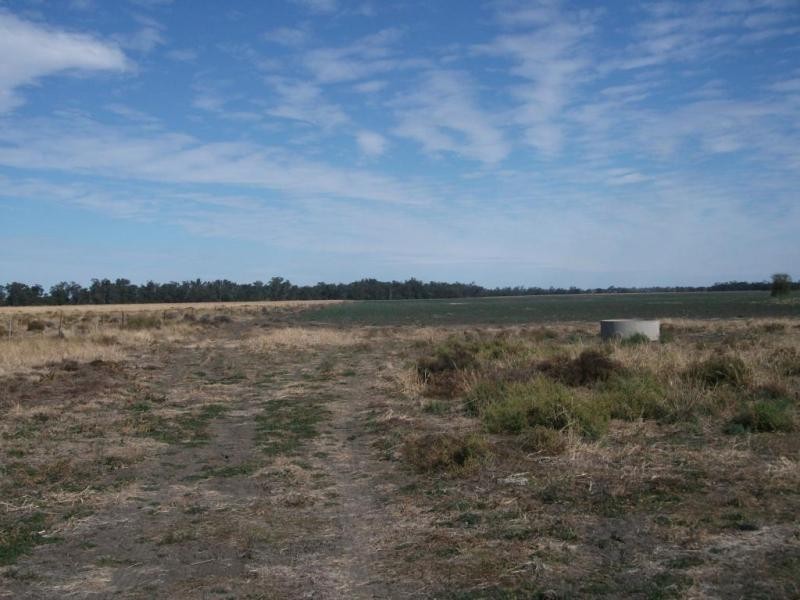 1143 River Rd, Surat QLD 4417