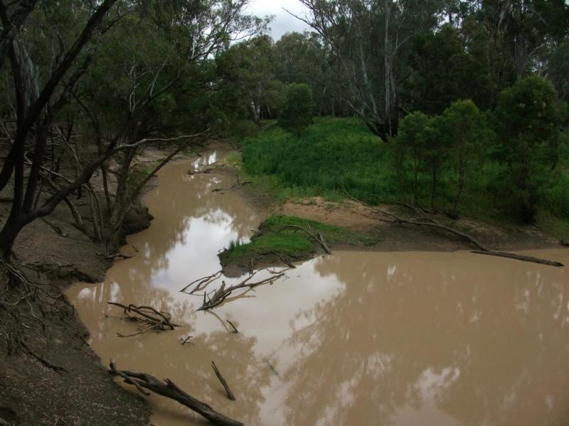 1143 River Rd, Surat QLD 4417