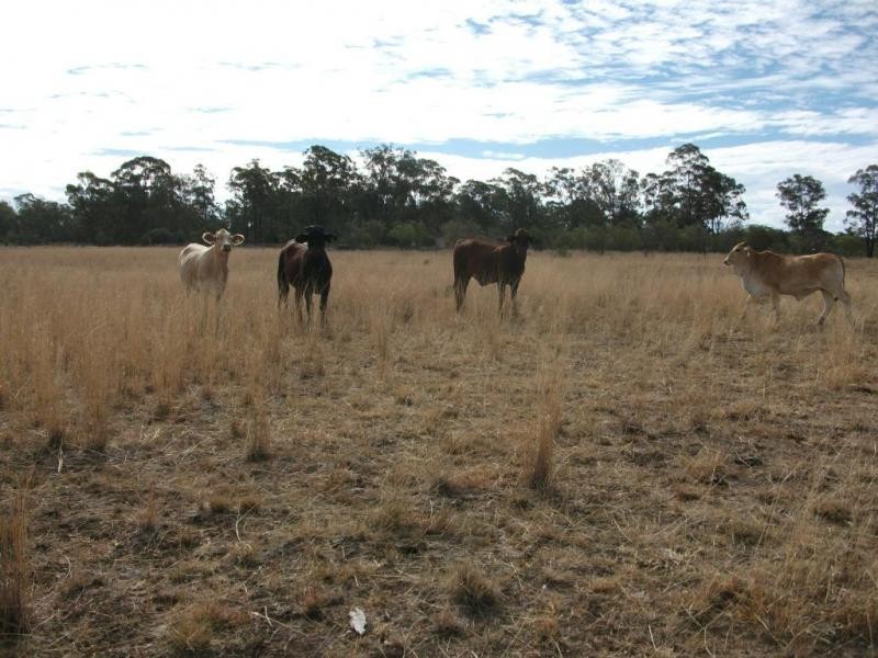 5614 Surat Development Rd, Glenmorgan QLD 4423