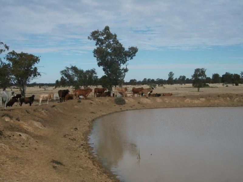 5614 Surat Development Rd, Glenmorgan QLD 4423