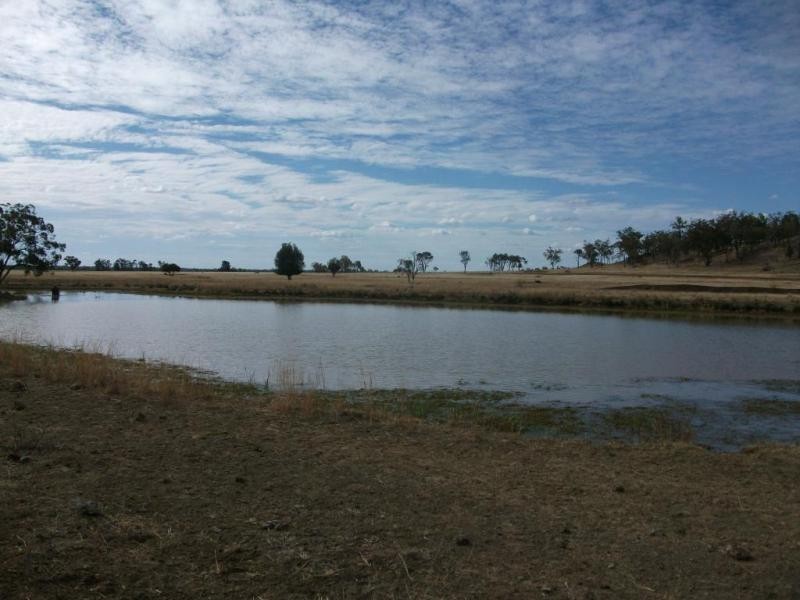 5614 Surat Development Rd, Glenmorgan QLD 4423