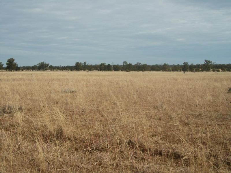 5614 Surat Development Rd, Glenmorgan QLD 4423