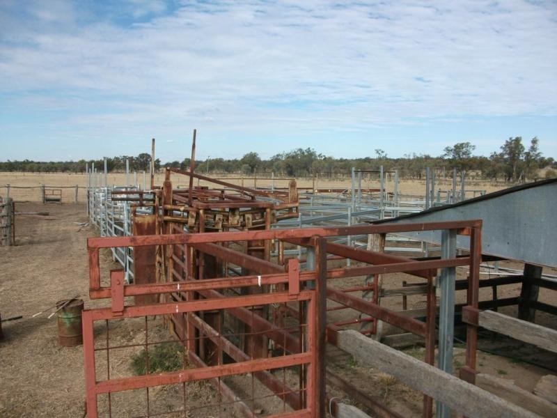 5614 Surat Development Rd, Glenmorgan QLD 4423