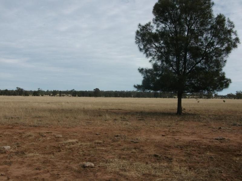 5614 Surat Development Rd, Glenmorgan QLD 4423