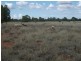 4370 Balonne Hwy, St George QLD 4487