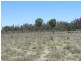4370 Balonne Hwy, St George QLD 4487