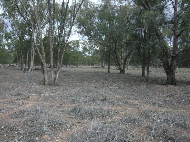 4370 Balonne Hwy, St George QLD 4487