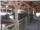 4370 Balonne Hwy, St George QLD 4487