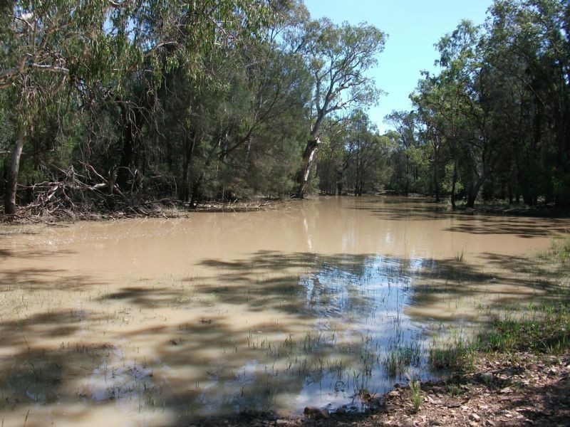 31457 Cunningham Hway, Goondiwindi QLD 4390