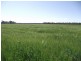 Yelarbon QLD 4388