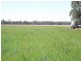 Yelarbon QLD 4388