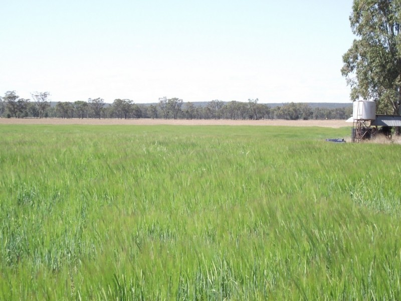 Yelarbon QLD 4388
