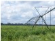 Yelarbon QLD 4388