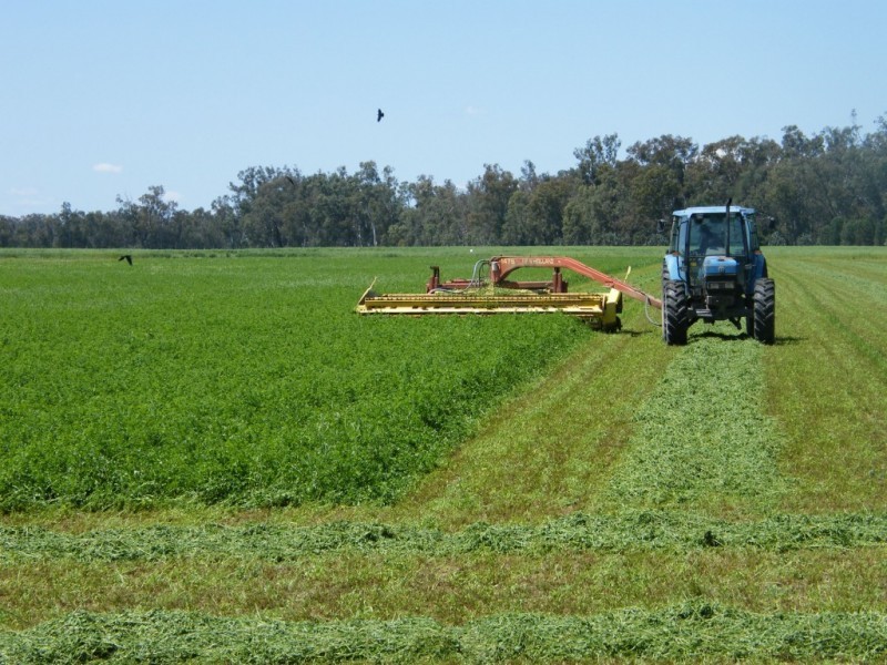 Yelarbon QLD 4388