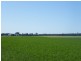 Yelarbon QLD 4388