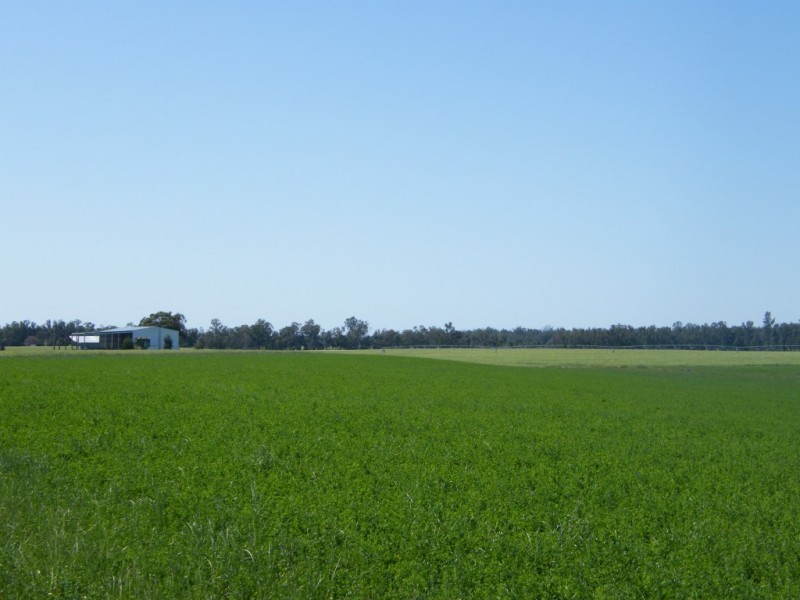 Yelarbon QLD 4388