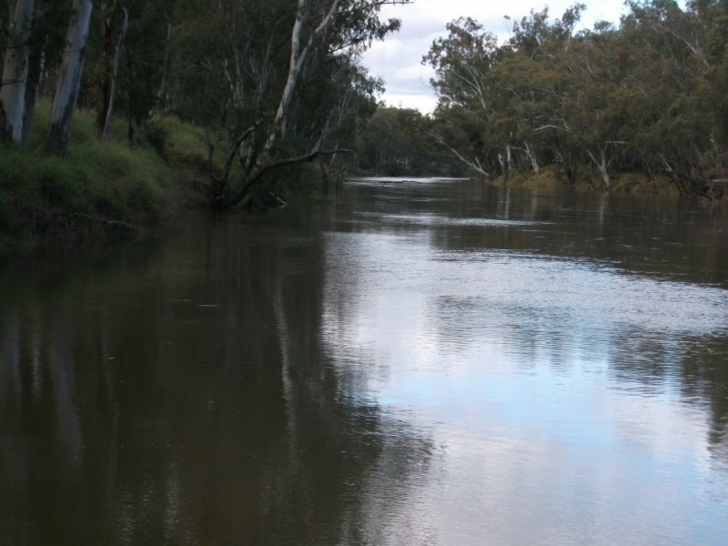 Yelarbon QLD 4388