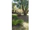 Yelarbon QLD 4388