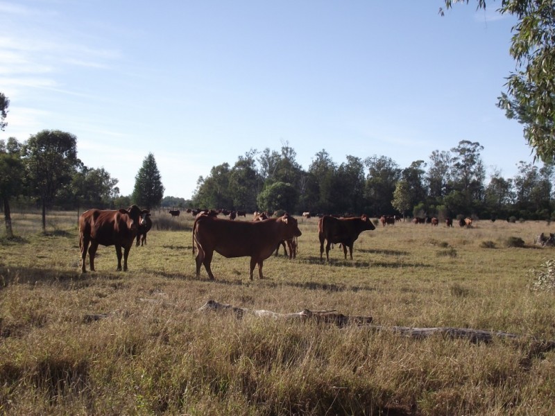 2151 Tenomby Rd, Goondiwindi QLD 4390