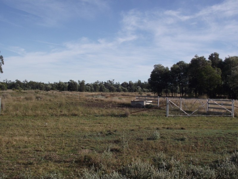 2151 Tenomby Rd, Goondiwindi QLD 4390