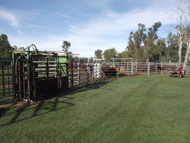 2151 Tenomby Rd, Goondiwindi QLD 4390