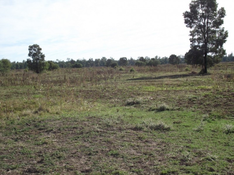 2151 Tenomby Rd, Goondiwindi QLD 4390