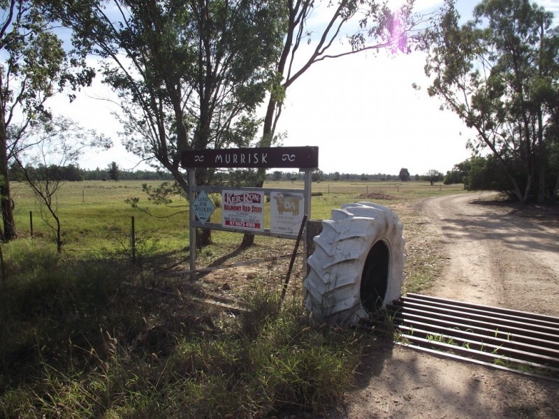 2151 Tenomby Rd, Goondiwindi QLD 4390