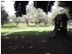38 McLean St, Goondiwindi QLD 4390