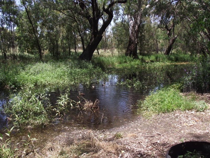 Goondiwindi QLD 4390