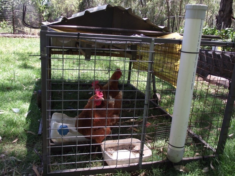 Goondiwindi QLD 4390