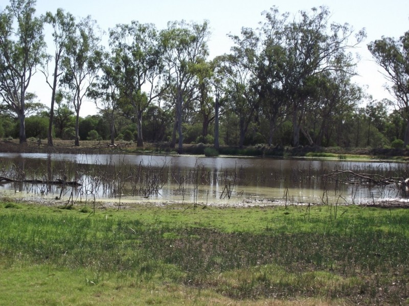 27966 Cunningham Hwy, Yelarbon QLD 4388